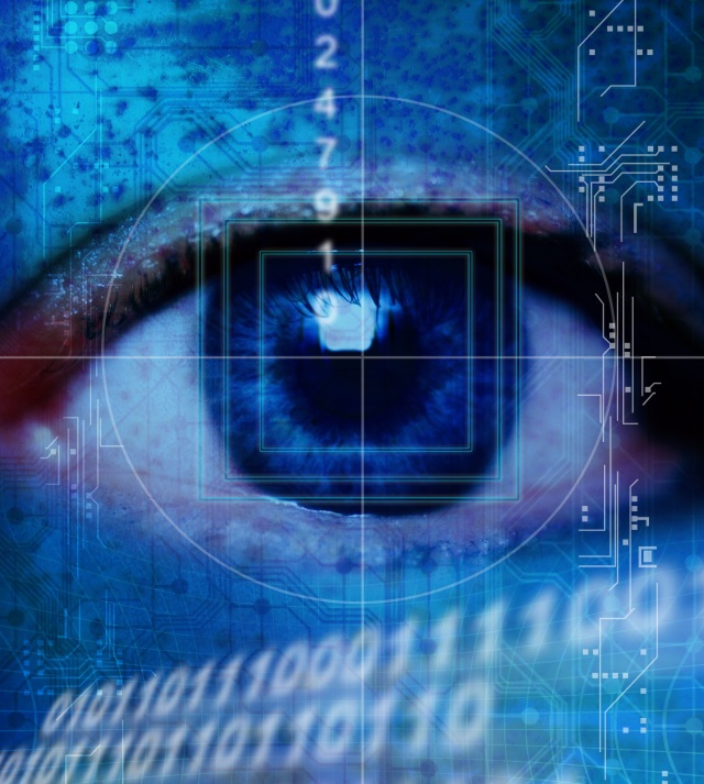 surveillance-cyber-crime